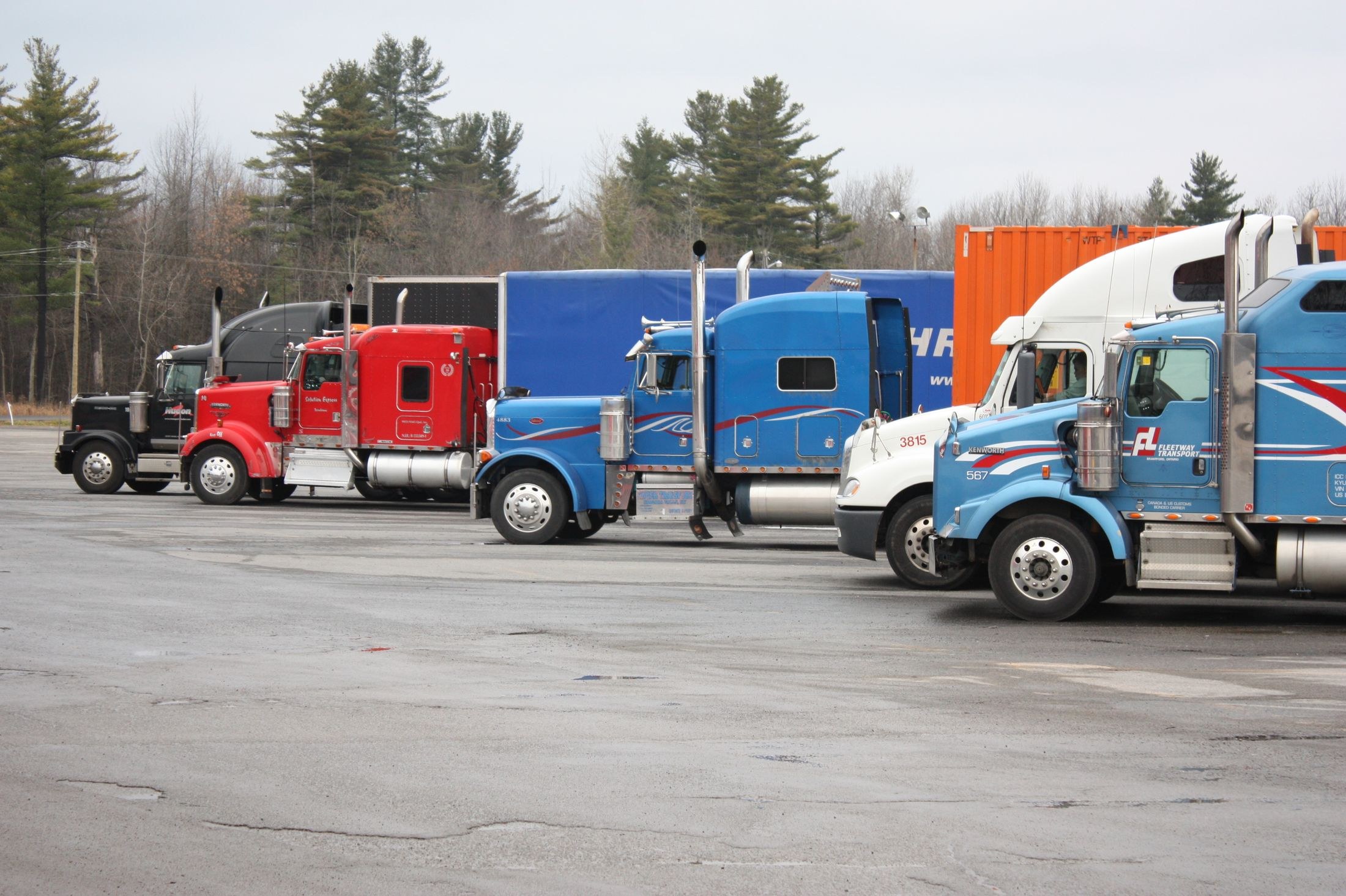 Conventional semi trucks parked in a wooded commercial lot